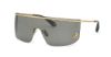 Picture of Roberto Cavalli Sunglasses SRC012M