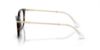 Picture of Swarovski Eyeglasses SK2010F