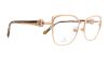 Picture of Swarovski Eyeglasses SK5256