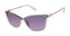 Picture of Ted Baker Sunglasses TWS259