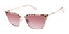 Picture of Ted Baker Sunglasses TWS255