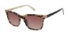Picture of Ted Baker Sunglasses TWS208