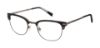 Picture of Ted Baker Eyeglasses TFM500