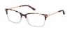 Picture of Ted Baker Eyeglasses TFW001