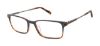 Picture of Ted Baker Eyeglasses TFM009
