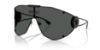 Picture of Versace Sunglasses VE2268