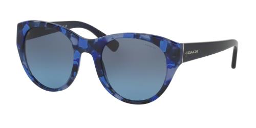 Picture of Coach Sunglasses HC8167F