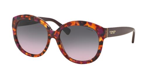 Picture of Coach Sunglasses HC8159