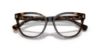 Picture of Ralph Eyeglasses RA7153