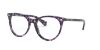 Picture of Ralph Eyeglasses RA7122