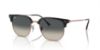 Picture of Ray Ban Sunglasses RB4416F