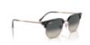Picture of Ray Ban Sunglasses RB4416F