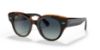 Picture of Ray Ban Sunglasses RB2192