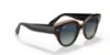 Picture of Ray Ban Sunglasses RB2192