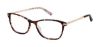 Picture of Ted Baker Eyeglasses TFW002