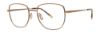 Picture of Paradigm Eyeglasses 21-02