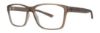 Picture of Gallery Eyeglasses STEVEN