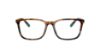 Picture of Polo Eyeglasses PH2234