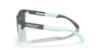 Picture of Oakley Sunglasses FROGSKINS RANGE (A)