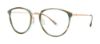 Picture of Paradigm Eyeglasses 19-12