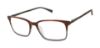 Picture of Ted Baker Eyeglasses TFM008