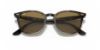Picture of Ray Ban Sunglasses RB4258