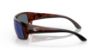 Picture of Costa Del Mar Sunglasses 6S9006