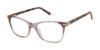 Picture of Ted Baker Eyeglasses TW008