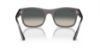 Picture of Ray Ban Sunglasses RB4428F