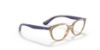 Picture of Ray Ban Jr Eyeglasses RY1612