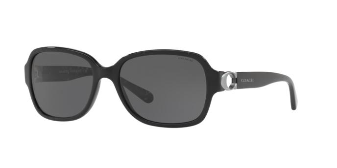 Picture of Coach Sunglasses HC8241