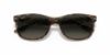 Picture of Ray Ban Sunglasses RB2184