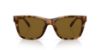 Picture of Coach Sunglasses HC8359U