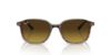 Picture of Ray Ban Sunglasses RB2193F