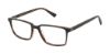 Picture of Xxl Eyewear Eyeglasses Osprey
