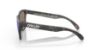 Picture of Oakley Sunglasses FROGSKINS (A)
