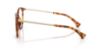 Picture of Ralph Eyeglasses RA7145U