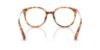 Picture of Ralph Eyeglasses RA7145U