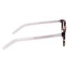 Picture of Converse Eyeglasses CV5081