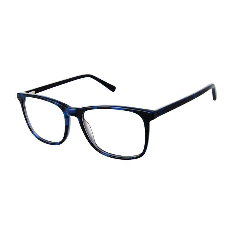 Picture of Aristar Eyeglasses 18658