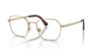 Picture of Persol Eyeglasses PO1010V
