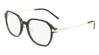 Picture of Dkny Eyeglasses DK7003LB