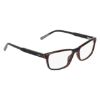 Picture of Nautica Eyeglasses N8199