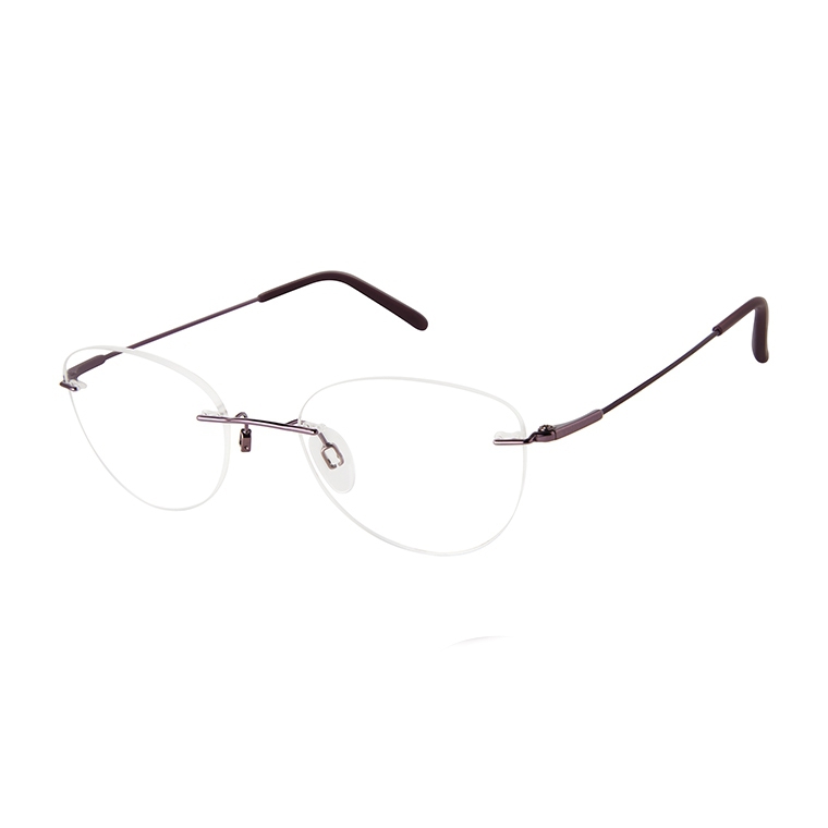 Picture of Charmant Eyeglasses 29232F