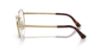 Picture of Persol Eyeglasses PO1010V