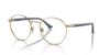 Picture of Persol Eyeglasses PO1008V