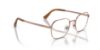 Picture of Persol Eyeglasses PO1010V