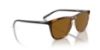 Picture of Arnette Sunglasses AN4301