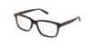 Picture of Saint Laurent Eyeglasses SL 458