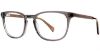 Picture of Adrienne Vittadini Eyeglasses 6021